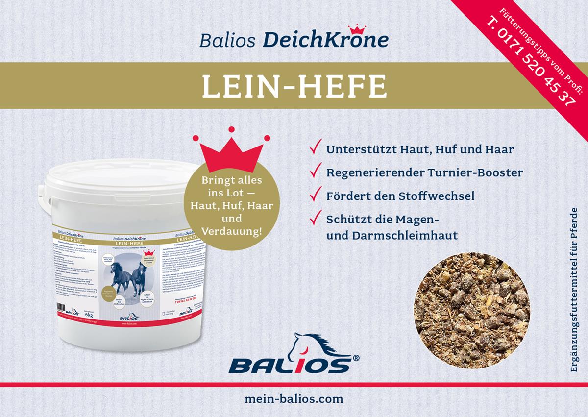 Balios DeichKrone Lein-Hefe für Pferde, 6 kg